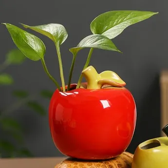 Tomato vase