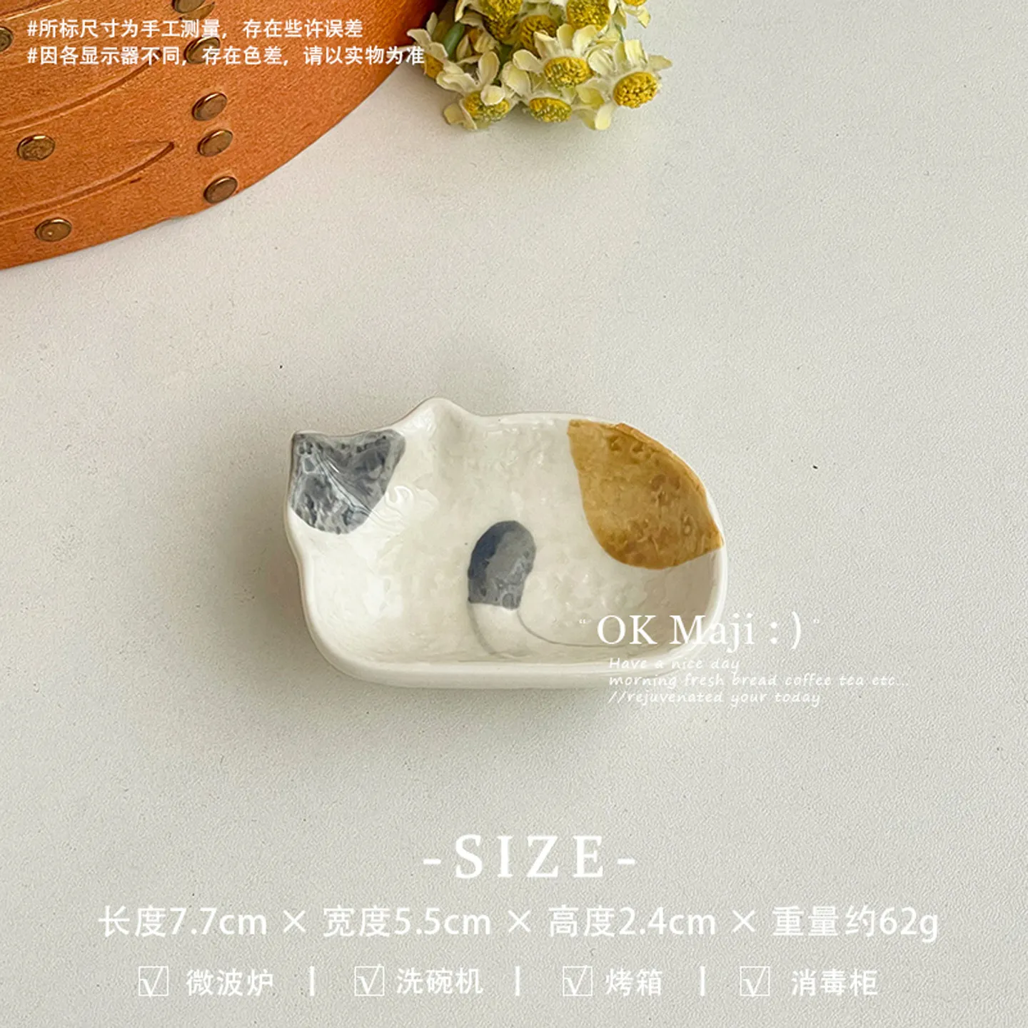 small cat saocer 3